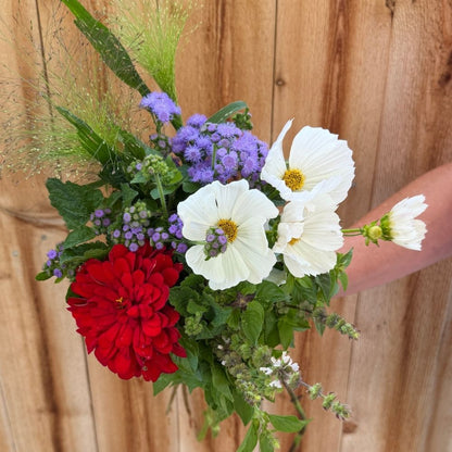 Seed Set, Red, White, and BLOOM!