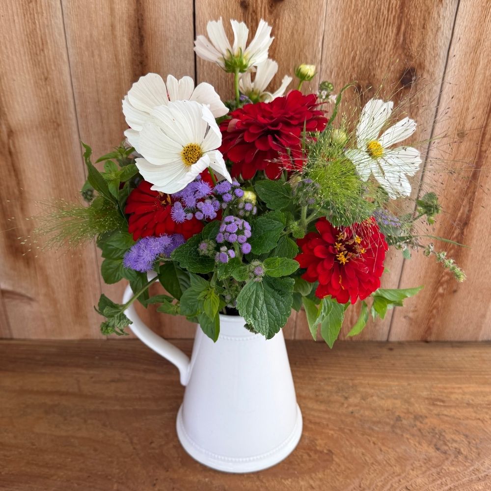 Seed Set, Red, White, and BLOOM!