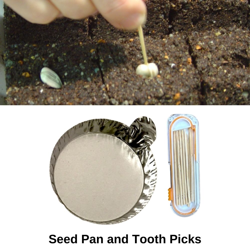 XL DIY Soil Block Maker Kit*