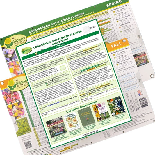 Cool-Season Cut-Flower Planner