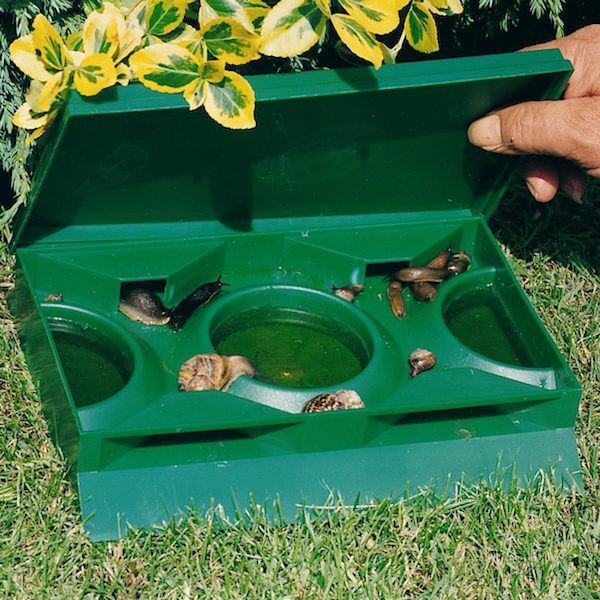 Slug Bug Ramp Slug-X – The Gardener's Workshop