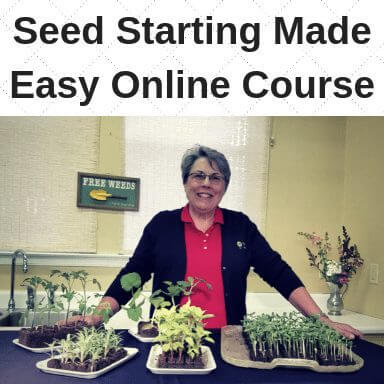 Square for product Seed Starting Made Easy