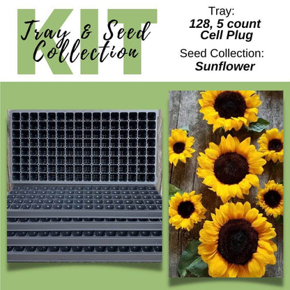 store sunflower seeds for planting Sunflower / Plug Tray Kit - Seed Starting