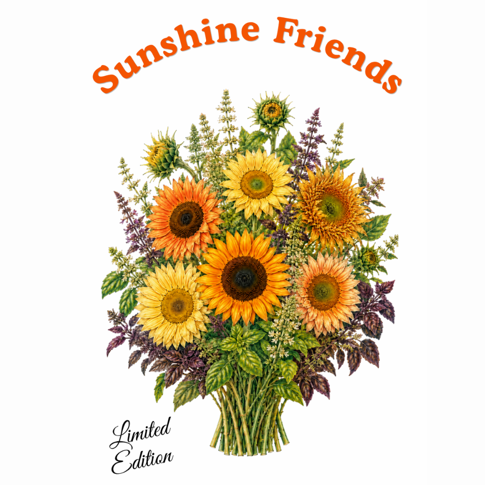 Seed Set, Sunshine Friends