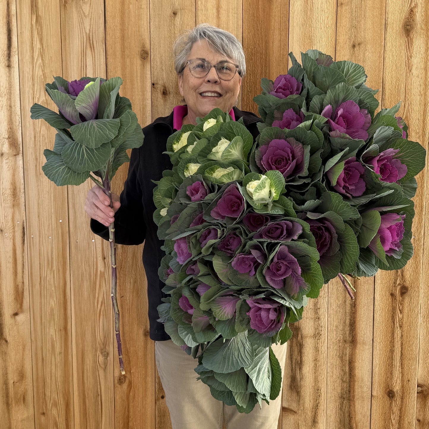 Ornamental Kale, Crane Red (F1)
