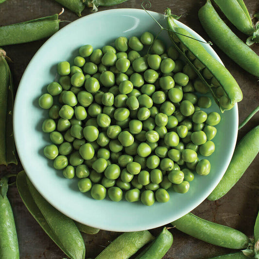 Vegetable Seeds – thegardenersworkshop