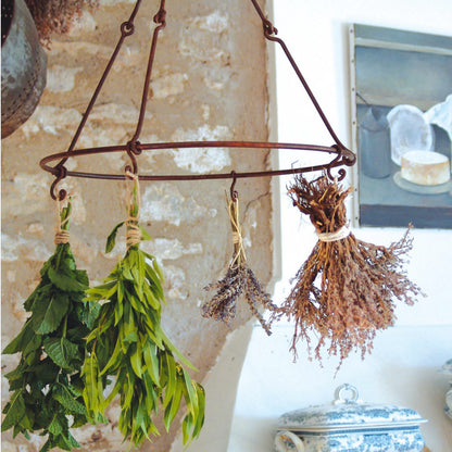 dish rack plant Flower & Herb Metal Drying Rack