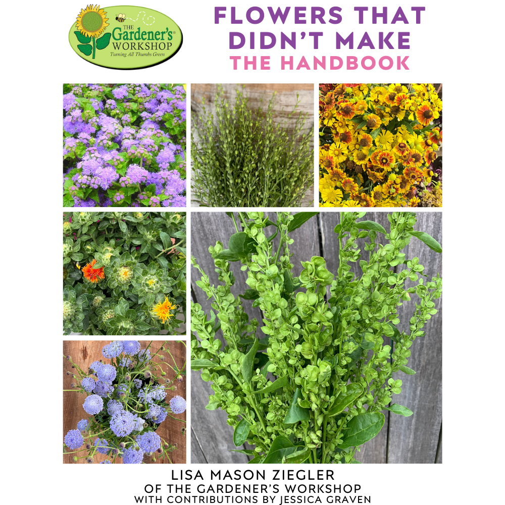 Set, The Cut Flower Handbook & Seed Collection