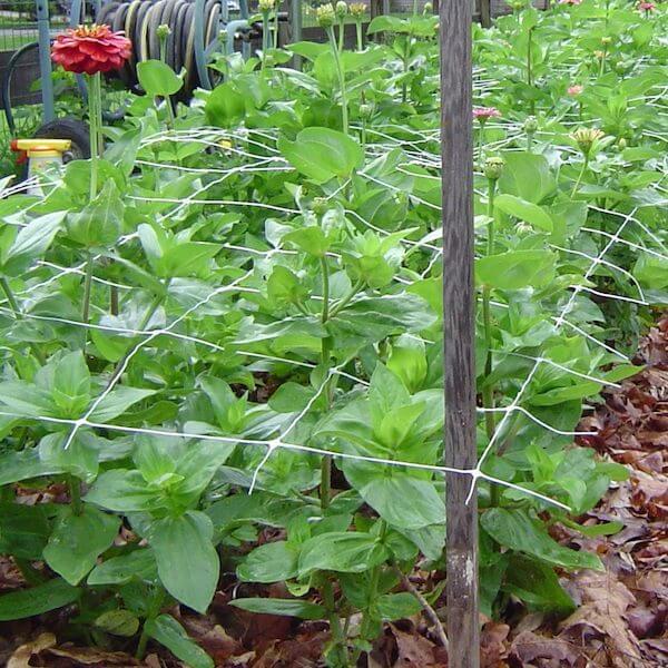 plastic plant support mesh Plant Support, Flower and Vine Support Netting 20'