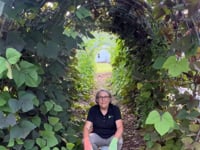 Hyacinth Bean, Ruby Moon