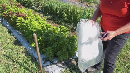 Plant Support Netting*
