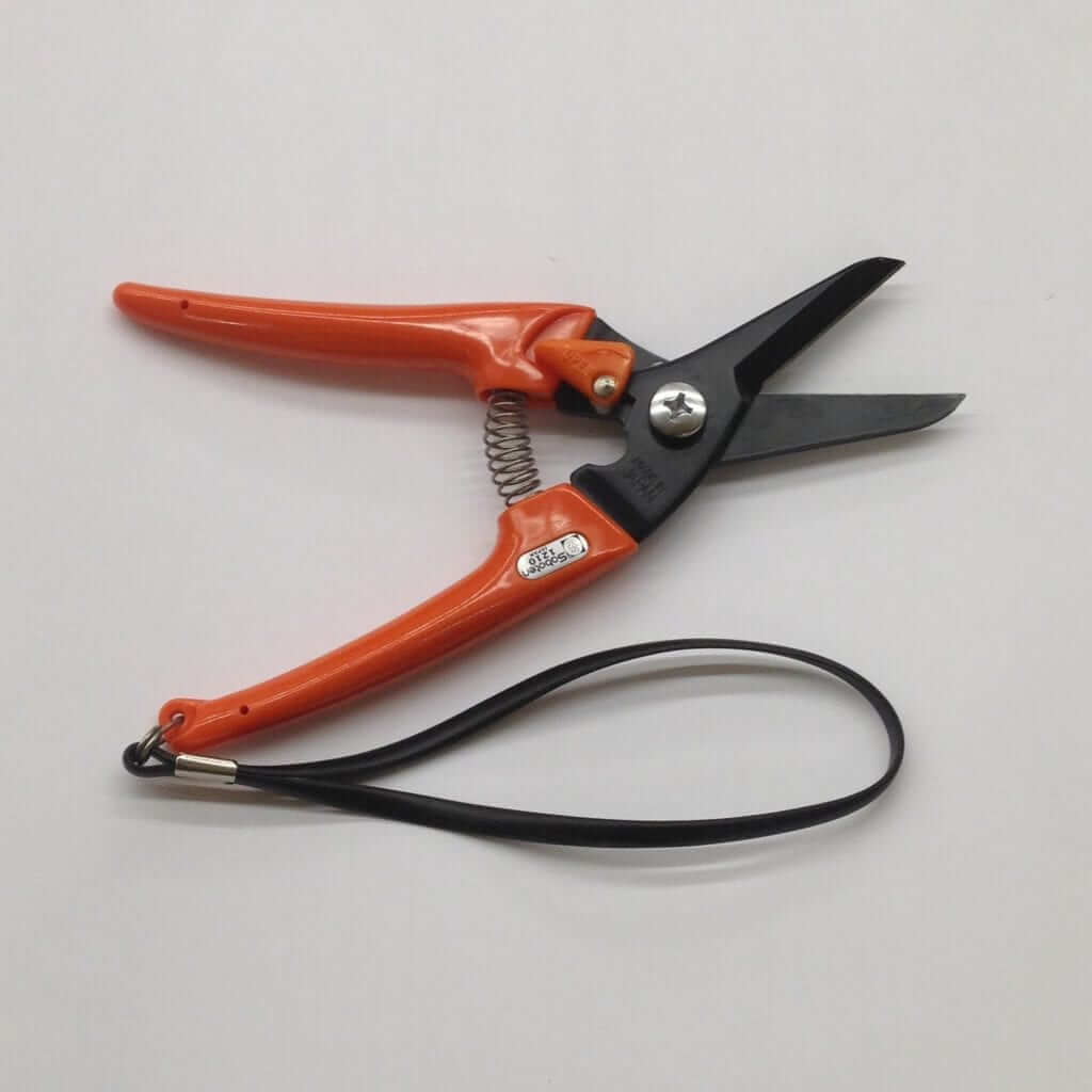 shears-e1419277178507.jpg