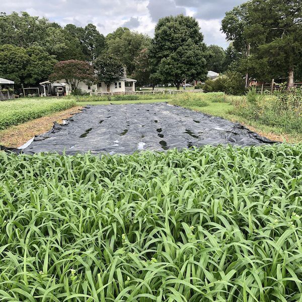 silage tarp gallery 72dpi