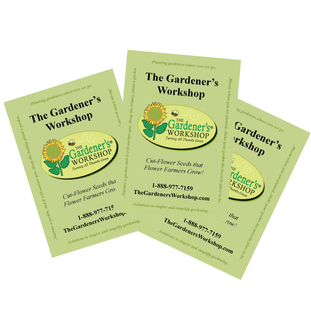 Soil Blocking Kit Seeds