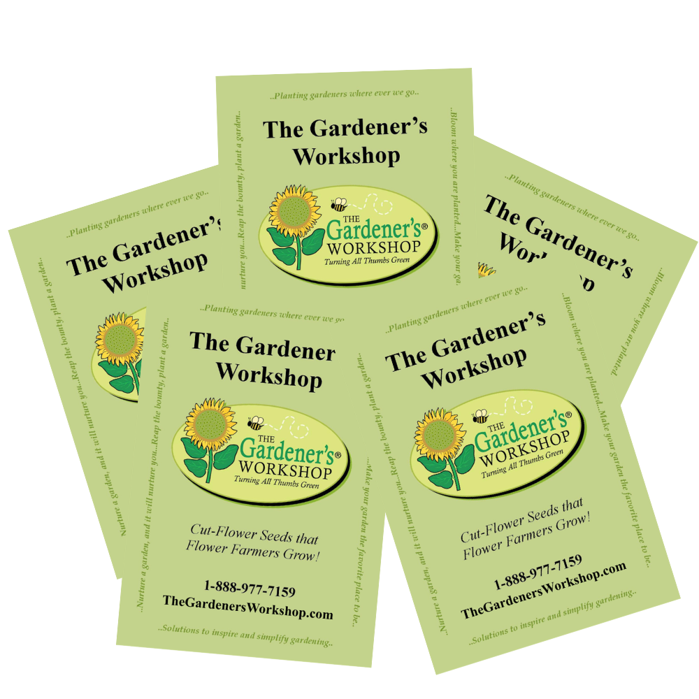 Complete Soil Blocking Kit Seeds
