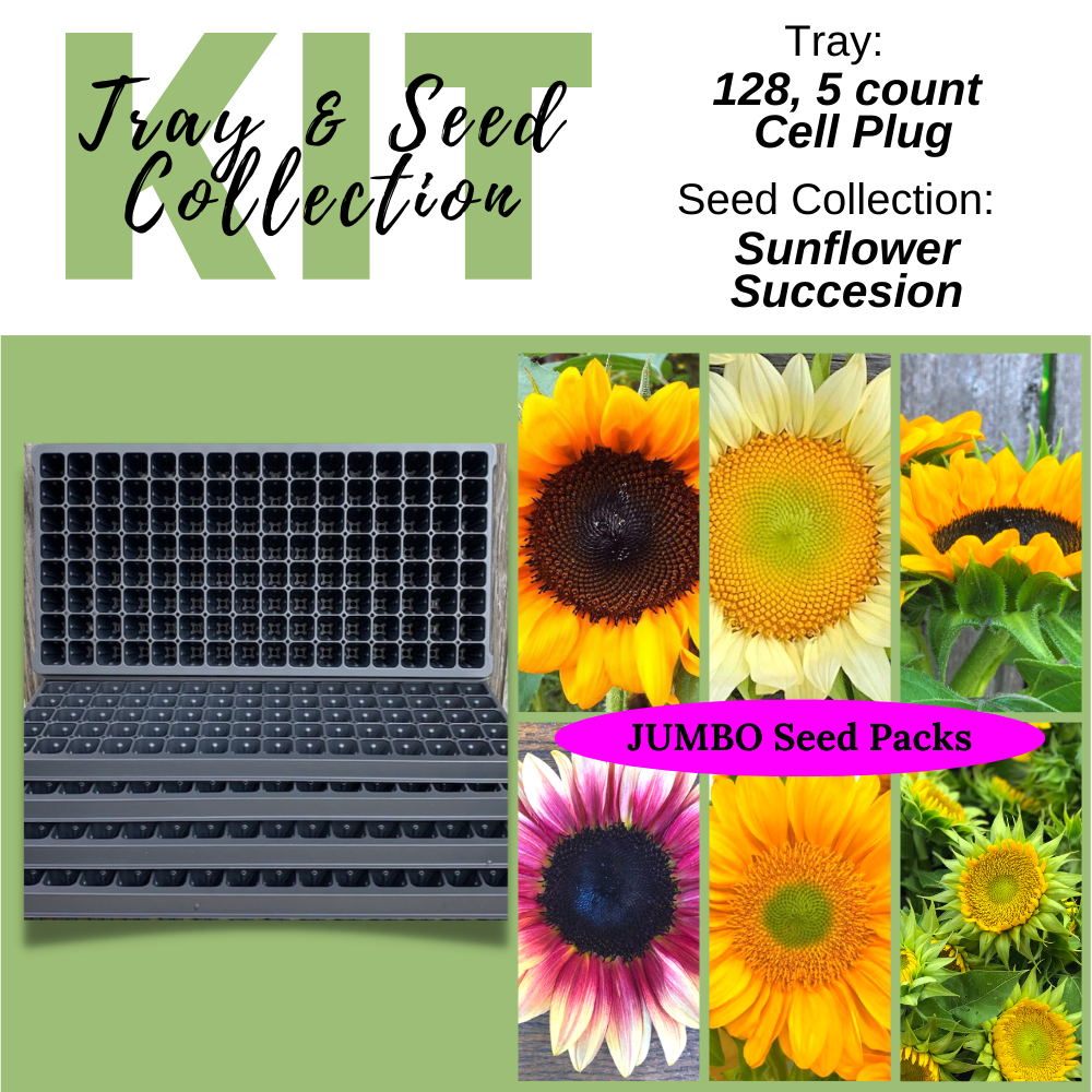 sunflower seed planter plates Sunflower / Plug Tray Kit - Seed Starting