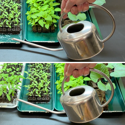 Long Spout Watering Can-Stainless Steel