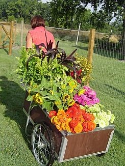 Cart of Flowers 006