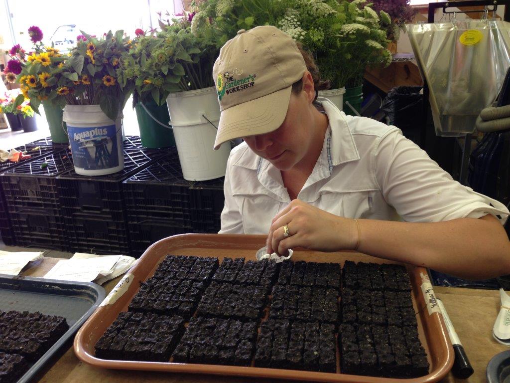 Kelly starting seeds with soil blocking