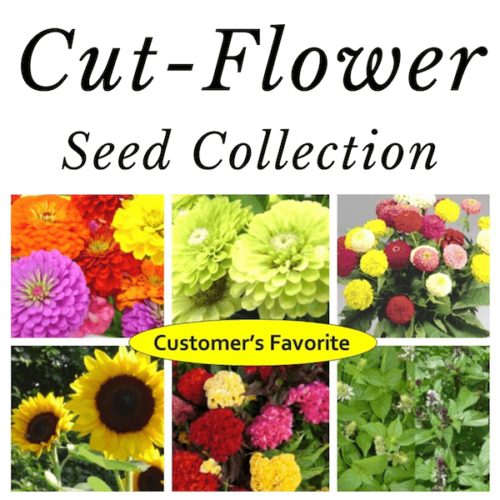 Set, Vegetables Love Flowers Book & Seed Collection