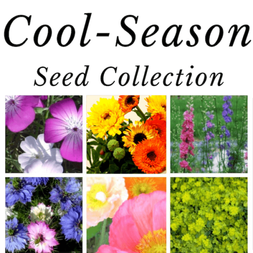 Seed Collection, Cold-Hardy Spring-Blooming