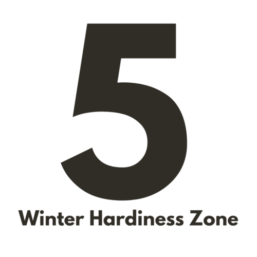 Zone (5)