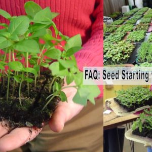 FAQ: Seed Starting with Soil Blocking