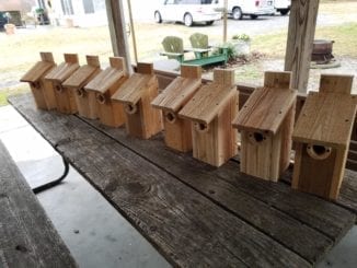 A line of house for our feathered friends!