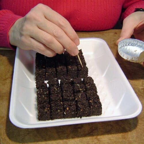 Soil Block Maker Kit*