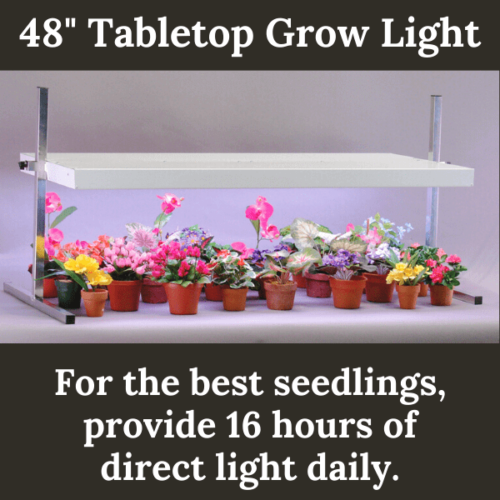 48" Tabletop Grow Light*