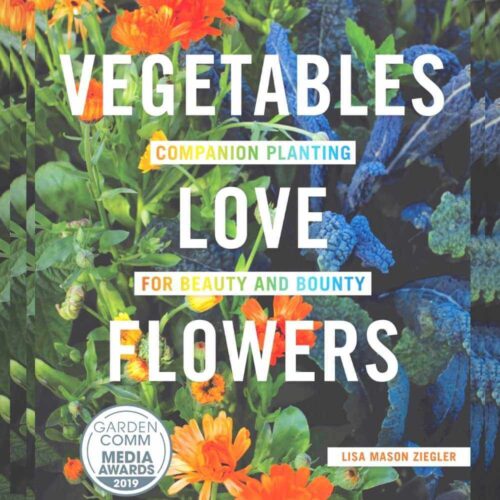 Vegetables Love Flowers Book (1)