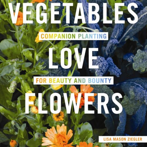 Set, Vegetables Love Flowers Book & Seed Collection