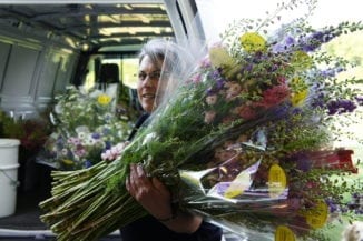 Spring is one of the most in-demand season for cut-flowers. 