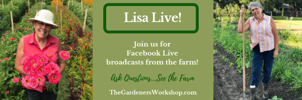 Join Lisa for Facebook Live!