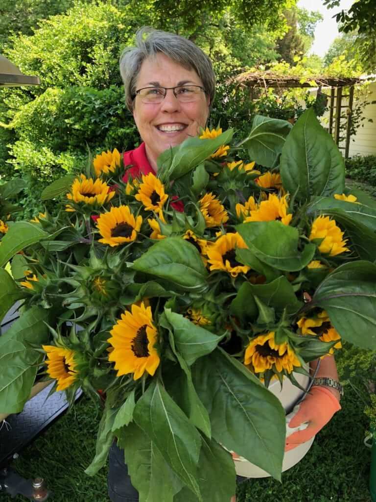 Lisa Live! How to Grow Sunflowers