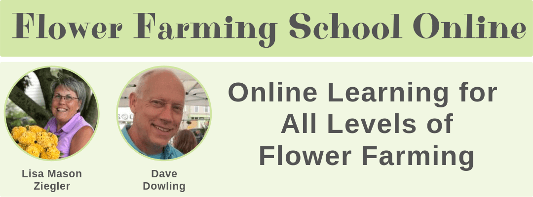 Facebook Live: Overcoming Challenges to Become a Flower Farmer