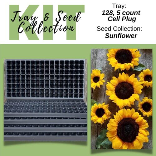 Sunflower Tray Kit