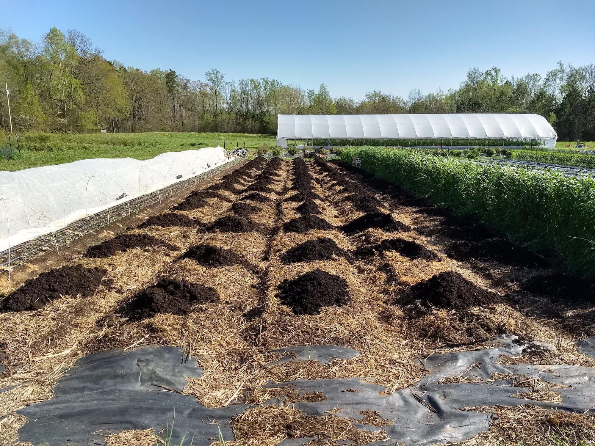 The NoTill MicroScale Flower Farm Online Course with Jonathan & Megan