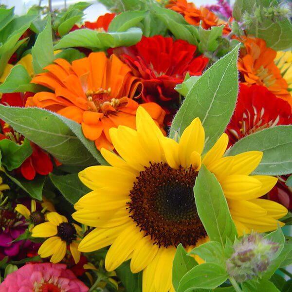 Best Flowers To Grow For Summer Bouquets