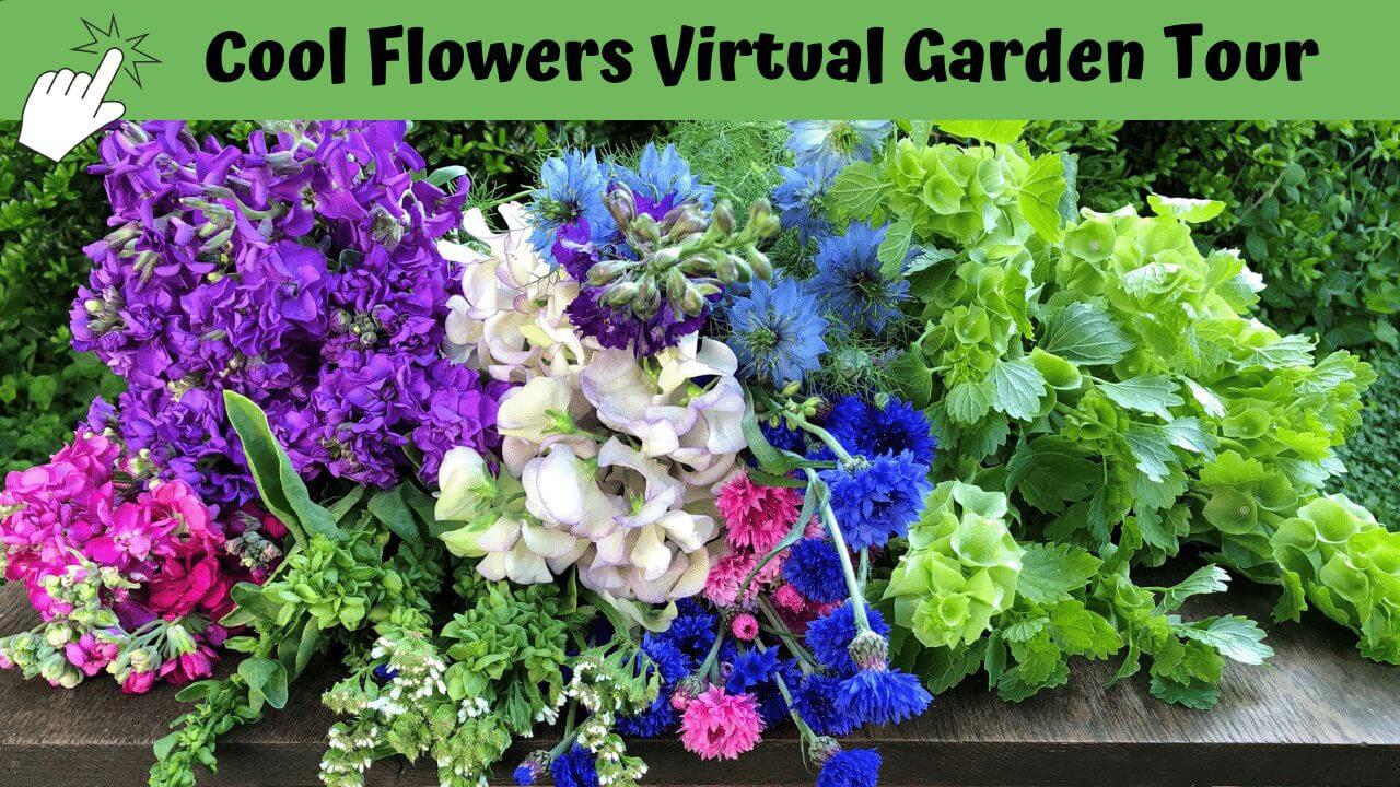 Cool Flowers Garden Tour 2020