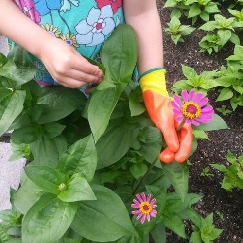 Glove, Ducky Gloves for Kids