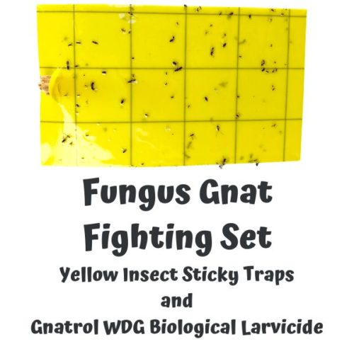 Fungus Gnat Fighting Set