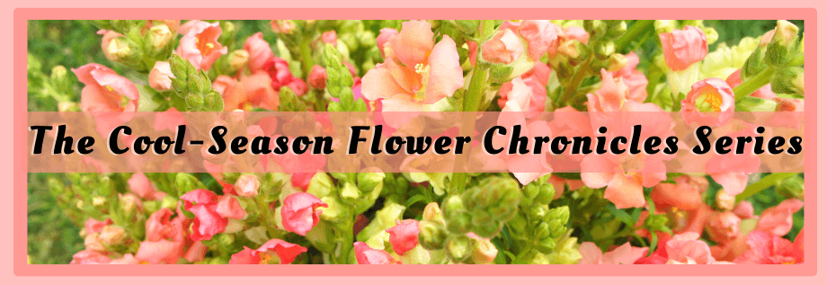 The Cool-Season Flower Chronicles Series