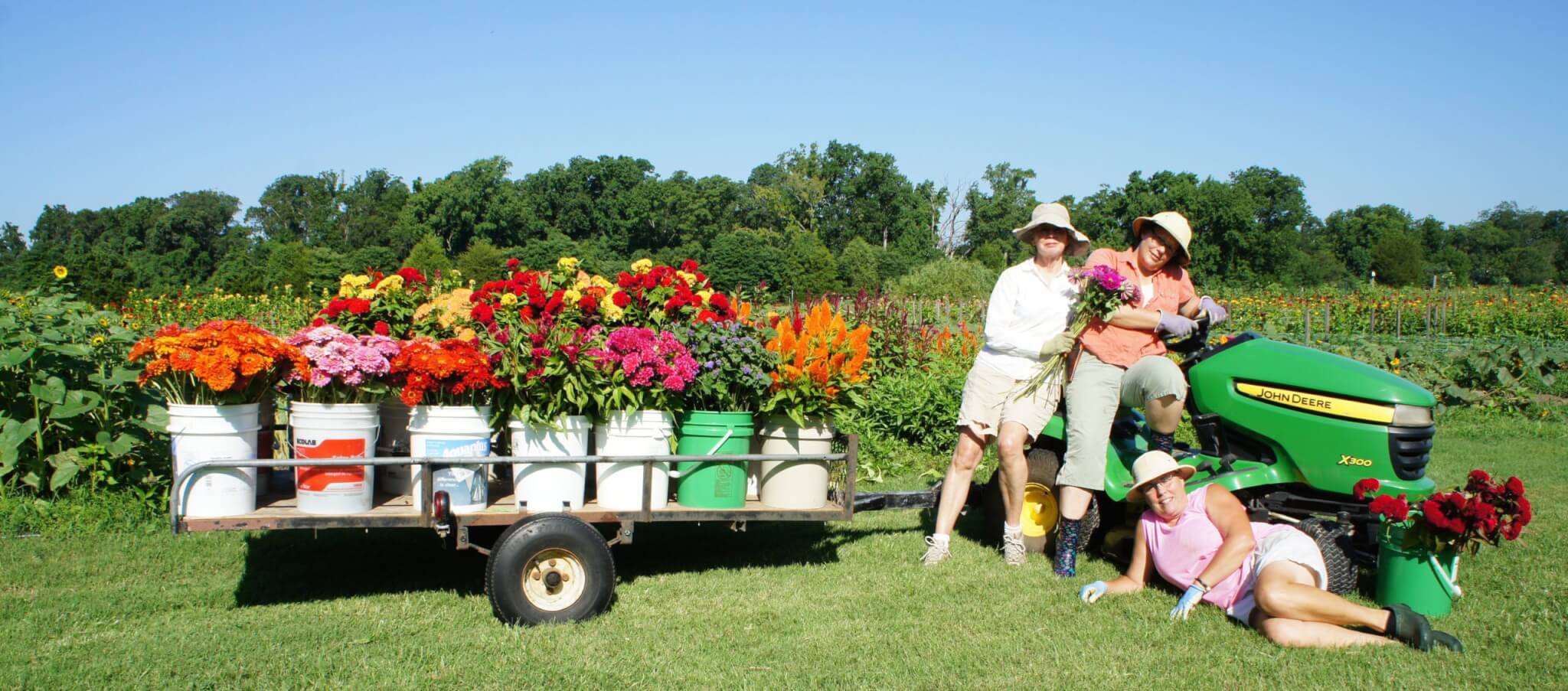 Flower Farming Business: Starting, Sustaining, and Surviving