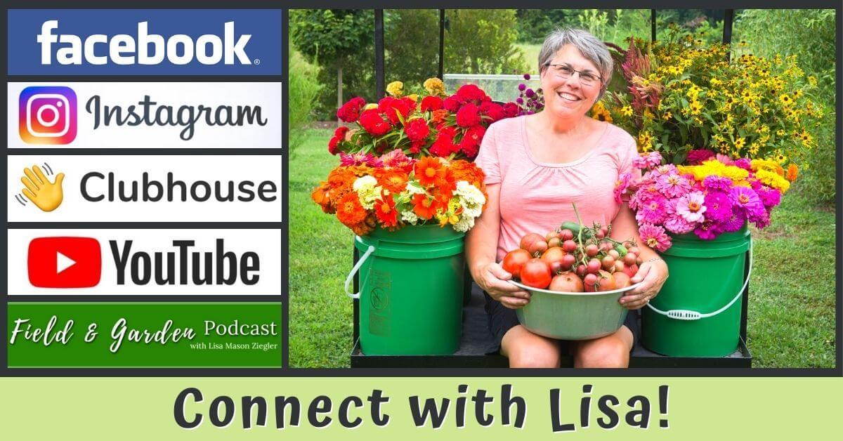 Meet Lisa LIVE each week!