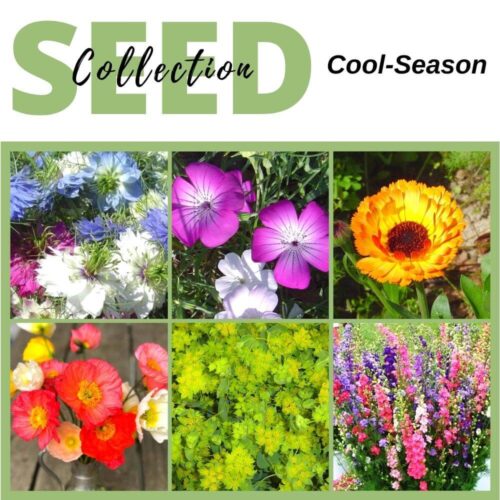 Cool-Season Seed Collection