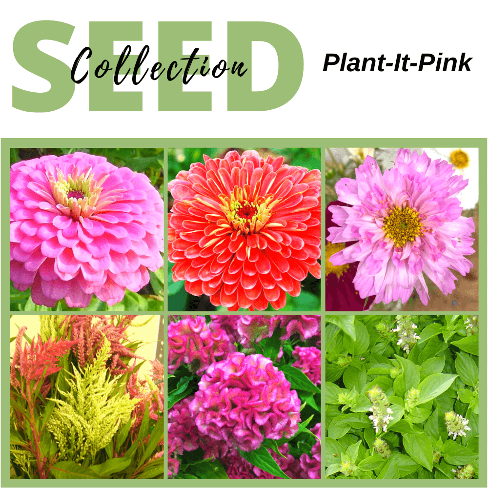 Seed Collection, Plant-It-Pink | Gardener's Workshop