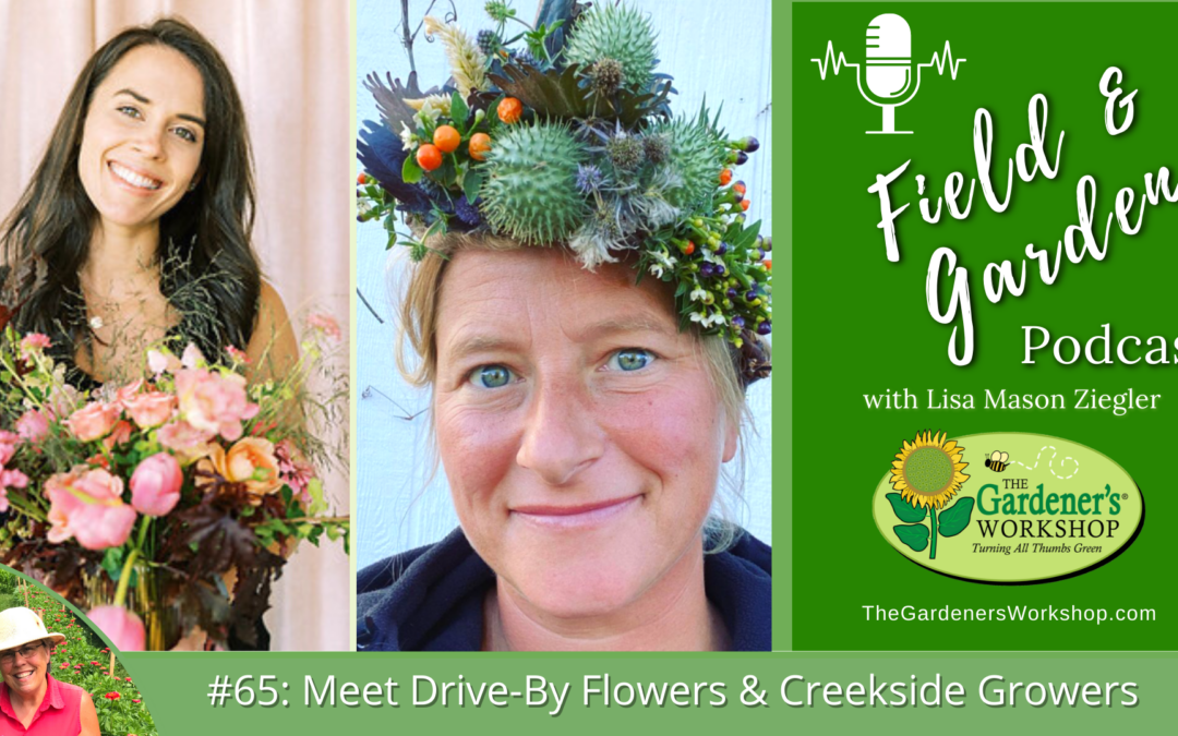 #65: Meet Drive by Flowers and Creekside Growers