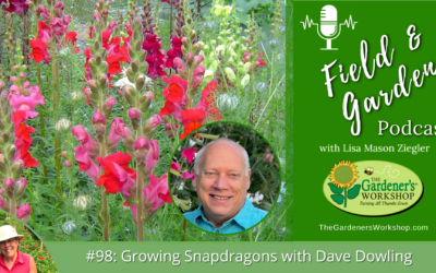 #98: Growing Snapdragons with Dave Dowling