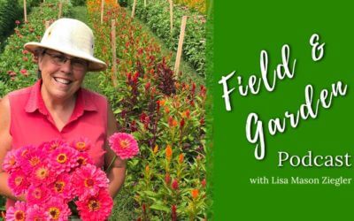 #156: Preparing to Sell to Florists with Ellen Frost